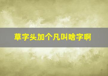 草字头加个凡叫啥字啊