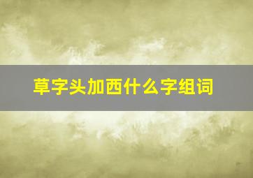 草字头加西什么字组词