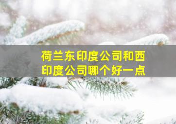 荷兰东印度公司和西印度公司哪个好一点