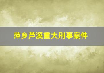 萍乡芦溪重大刑事案件