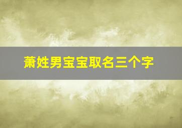 萧姓男宝宝取名三个字