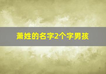 萧姓的名字2个字男孩