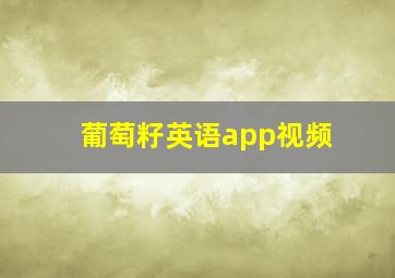 葡萄籽英语app视频