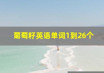 葡萄籽英语单词1到26个