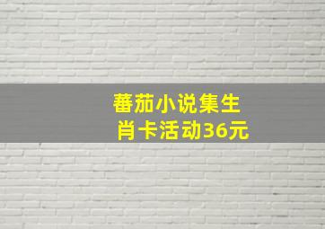 蕃茄小说集生肖卡活动36元