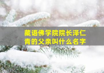 藏语佛学院院长泽仁青的父亲叫什么名字