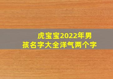 虎宝宝2022年男孩名字大全洋气两个字