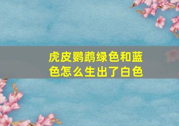 虎皮鹦鹉绿色和蓝色怎么生出了白色