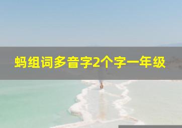 蚂组词多音字2个字一年级