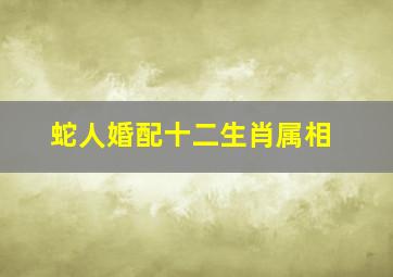 蛇人婚配十二生肖属相