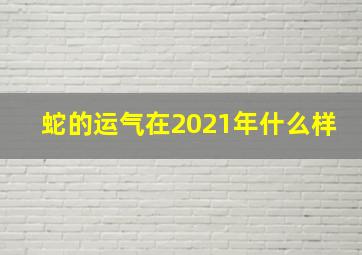 蛇的运气在2021年什么样