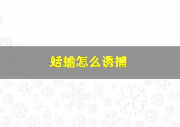 蛞蝓怎么诱捕