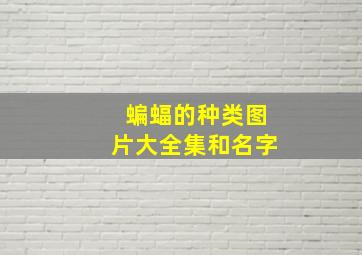 蝙蝠的种类图片大全集和名字