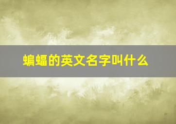 蝙蝠的英文名字叫什么