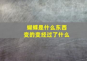 蝴蝶是什么东西变的变经过了什么