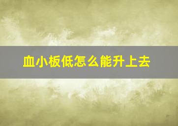 血小板低怎么能升上去