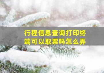 行程信息查询打印终端可以取票吗怎么弄