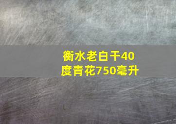 衡水老白干40度青花750毫升