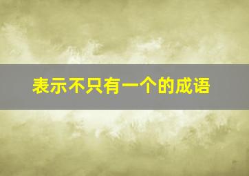 表示不只有一个的成语