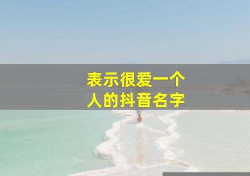 表示很爱一个人的抖音名字