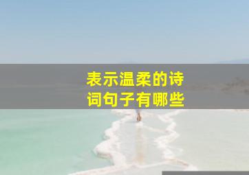 表示温柔的诗词句子有哪些