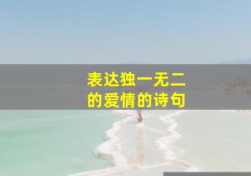 表达独一无二的爱情的诗句