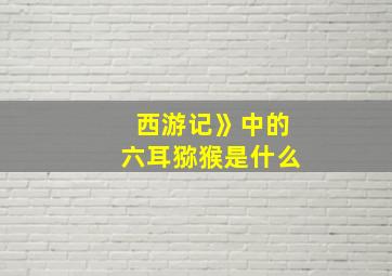 西游记》中的六耳猕猴是什么