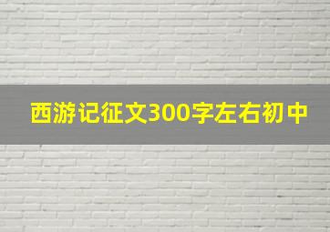 西游记征文300字左右初中