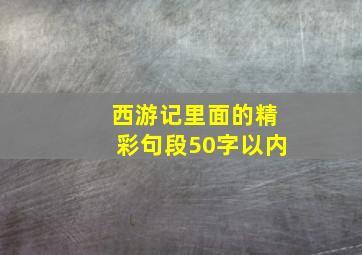 西游记里面的精彩句段50字以内