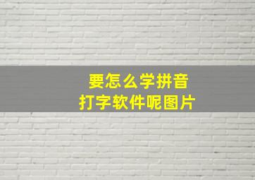 要怎么学拼音打字软件呢图片