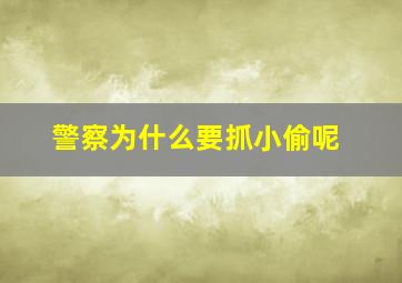 警察为什么要抓小偷呢