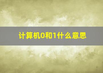 计算机0和1什么意思