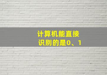 计算机能直接识别的是0、1