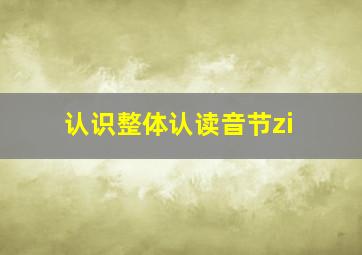 认识整体认读音节zi