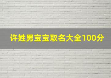 许姓男宝宝取名大全100分