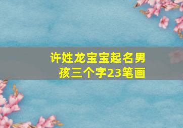 许姓龙宝宝起名男孩三个字23笔画