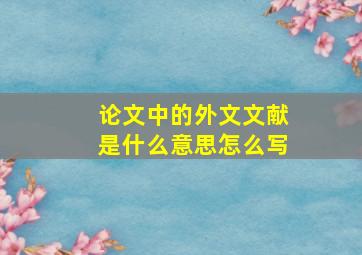 论文中的外文文献是什么意思怎么写