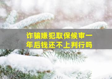 诈骗嫌犯取保候审一年后钱还不上判行吗