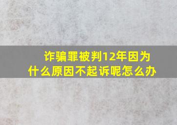 诈骗罪被判12年因为什么原因不起诉呢怎么办