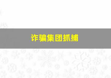 诈骗集团抓捕