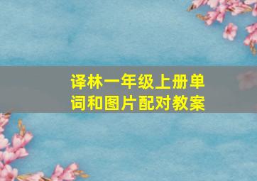 译林一年级上册单词和图片配对教案