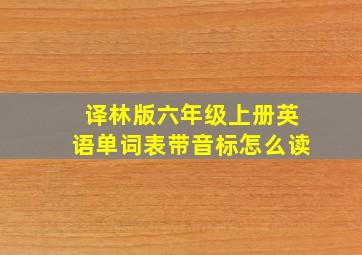 译林版六年级上册英语单词表带音标怎么读