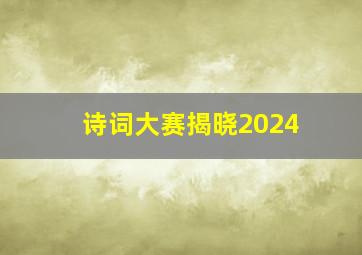 诗词大赛揭晓2024