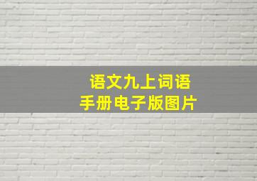 语文九上词语手册电子版图片