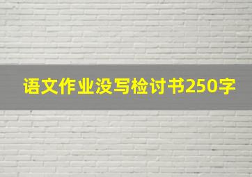 语文作业没写检讨书250字