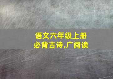 语文六年级上册必背古诗,广阅读