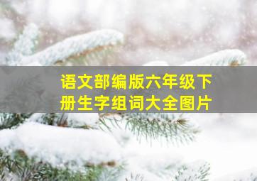 语文部编版六年级下册生字组词大全图片