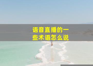 语音直播的一些术语怎么说