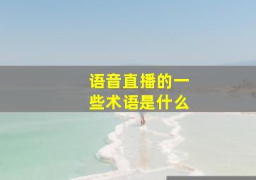 语音直播的一些术语是什么