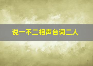 说一不二相声台词二人